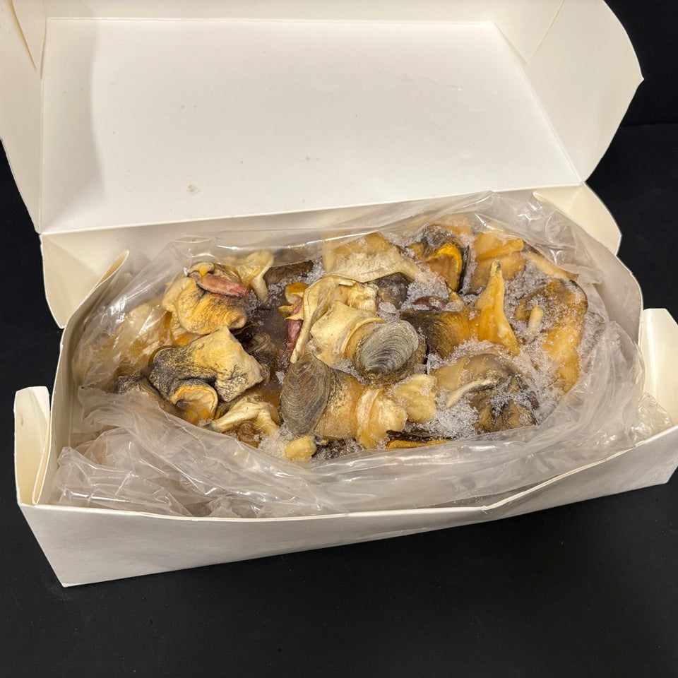 (9-11) Yellow Conch Meat / 螺頭肉