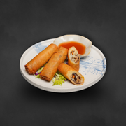 Vegetarian Spring Roll / 素春卷