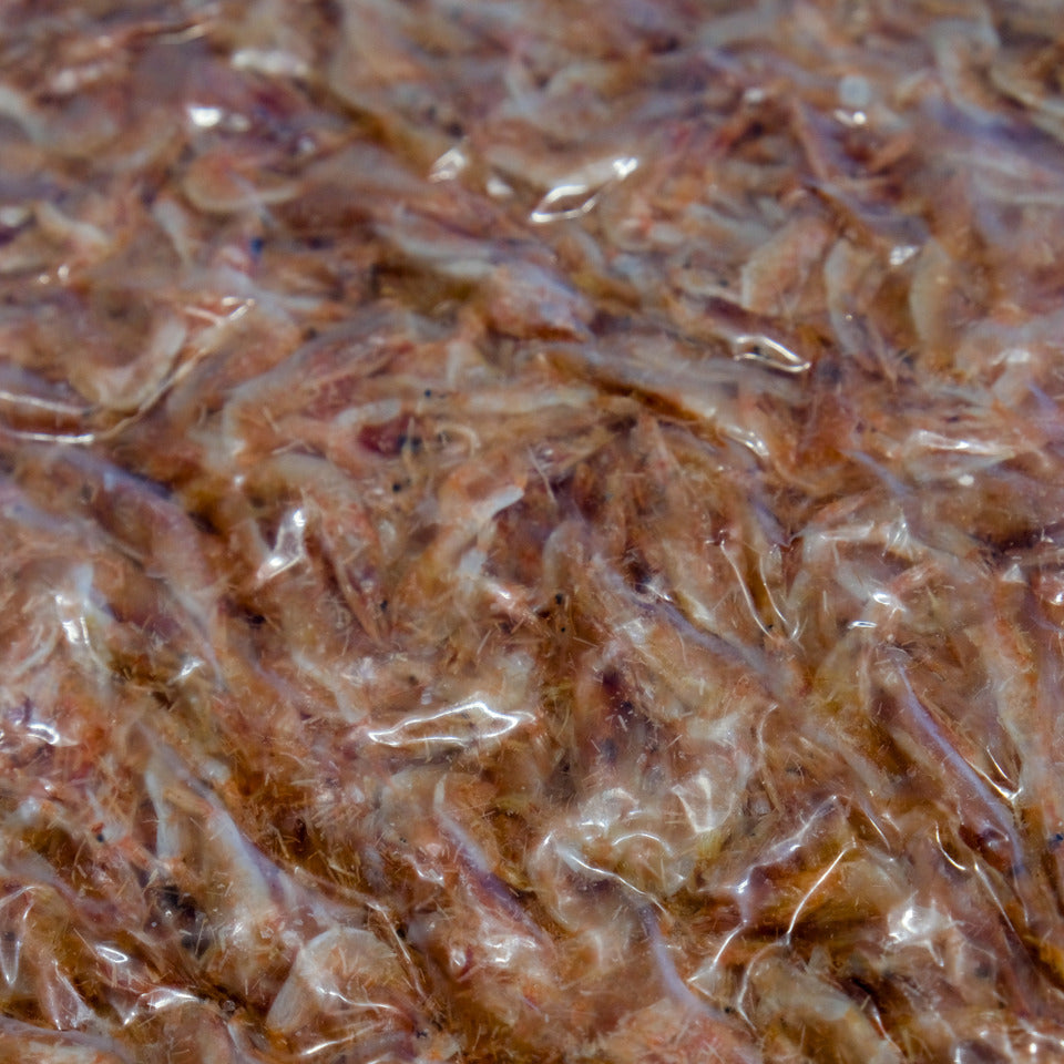 Sakura Shrimp (Dried)/ 櫻花蝦