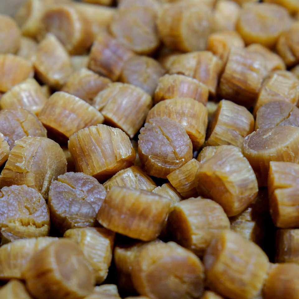 #480 Ching Tao Dried Scallop / 青島乾貝