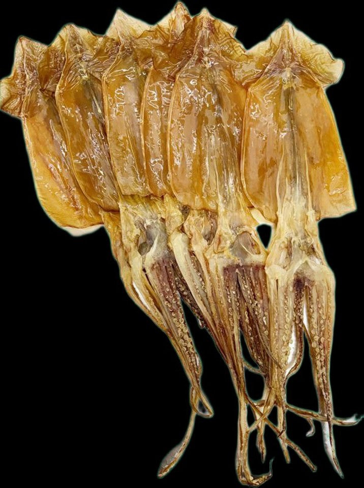 Dried Squid /魷魚